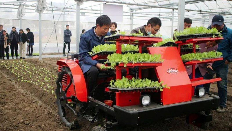 二手拖拉机市场行情解析：东方红拖拉机最新款报价几何**
