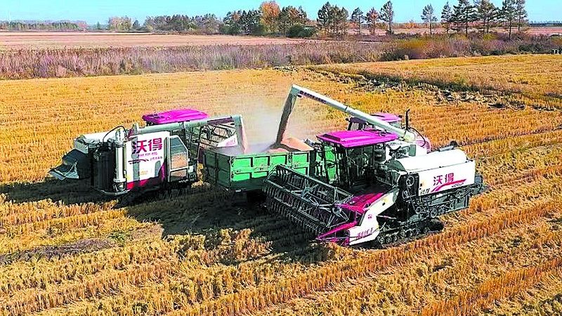 大型工业烘干机：优缺点全面剖析
